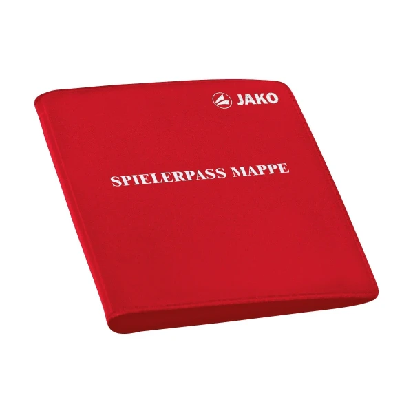 Player's ID briefcase small