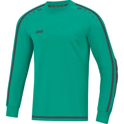 GK jersey Striker 2.0