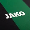JAKO SC Preußen Münster Trikot Home