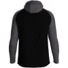 JAKO hooded jacket Iconic