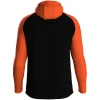 JAKO hooded jacket Iconic JR