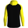 JAKO hooded jacket Iconic