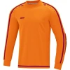 GK jersey Striker 2.0
