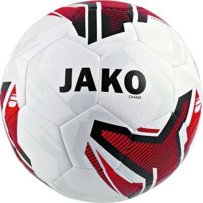 Training ball Champ