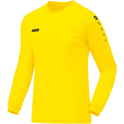 JR Jersey Team L/S