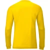 JR Jersey Team L/S JR Jersey Team L/S