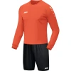 JR Jersey Team L/S JR Jersey Team L/S
