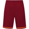 JAKO Shorts Striker 2.0
