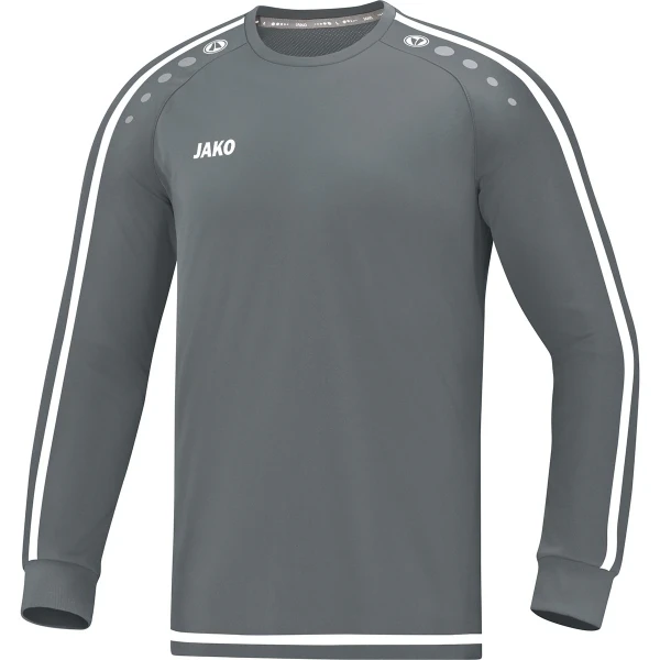 Jersey Striker 2.0 L/S