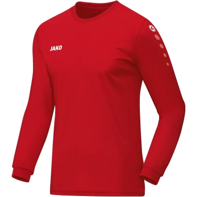 Jersey Team L/S
