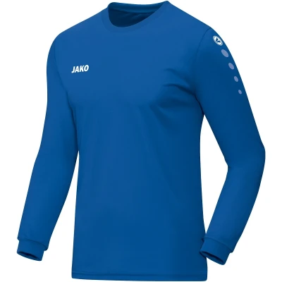 Jersey Team L/S