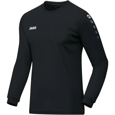Jersey Team L/S