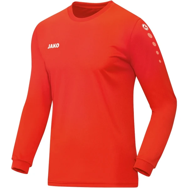 Jersey Team L/S