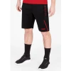 JAKO JR Training shorts Challenge